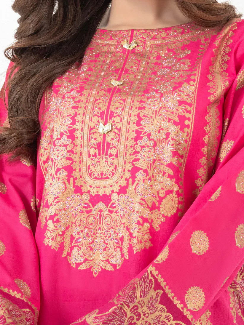 2 Piece Lawn Suit-Paste Print